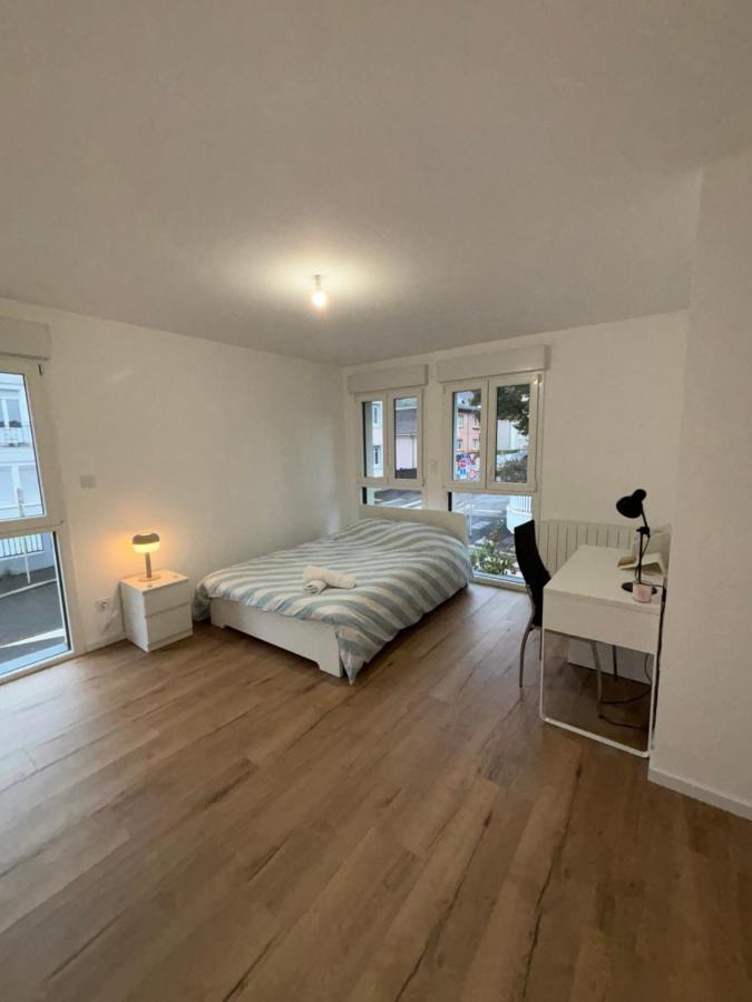 Appartement + Parking + Terrasse Мюлуз Экстерьер фото