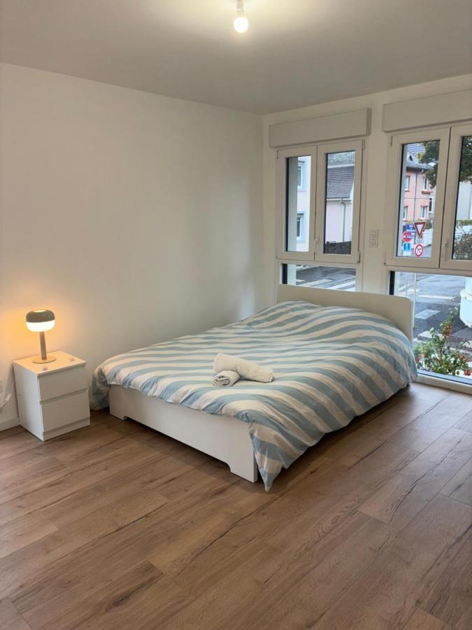 Appartement + Parking + Terrasse Мюлуз Экстерьер фото
